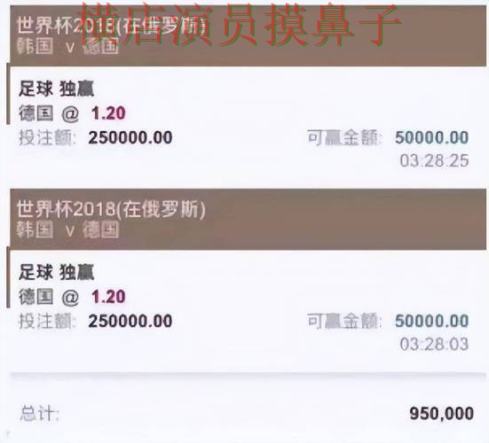 世界杯官方信息背景下的世界杯买球平台推荐与访问方式直播解析